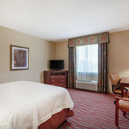 Hampton Inn & Suites Port Richey Esterno foto
