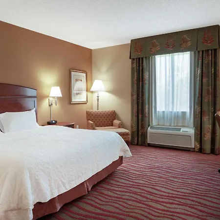 Hampton Inn & Suites Port Richey Esterno foto